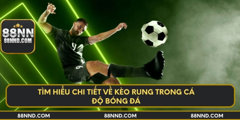 Tìm hiểu chi tiết về kèo rung trong cá độ bóng đá