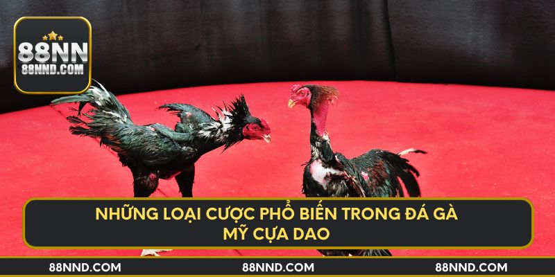 Những loại cược phổ biến trong đá gà Mỹ cựa dao